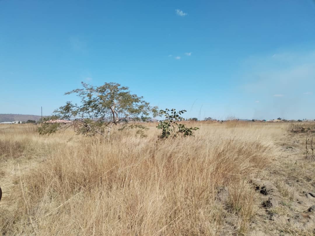 Residential Estate - 3